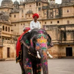 Jaipur Solo Heritage Trip – 2N/3D